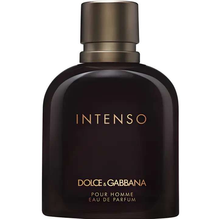 DOLCE & GABBANA Pour Homme Intenso Eau de Parfum Vaporizador 125ml - 1