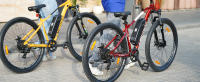 EMotorad T-rex Air | Bicicleta Eléctrica de Montaña para Adultos | Neumáticos 29x2.4" | Motor 36V 250W | Batería Extraíble 13Ah | Suspensión Delantera 100mm | Frenos de Disco Mecánicos - details 4