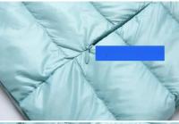 Chaqueta De Pato Blanco Sin Mangas Para Mujer 2023 Nueva Primavera Antigolpes Ligera Y Cálida Chaleco Estilo Casual Colorido - details 17