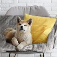 Manta Suave Cálida Para Perros Pequeños Medianos Y Grandes Gatos De Peluche Fleece Para Cama Sofá Muebles Suministro De Mantas - details 4