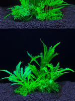 Adorno De Acuario Plantas Artificiales Simulación De Hierba De Agua Para Tanque De Peces Decoración De Plástico 5.5 Pulgadas - details 5
