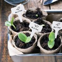 Plant Labels and Pen for Outdoor Plants, 100Pcs Plant Markers & Labels Plastic White Garden Plant Tags for Seed, Herb, 6x10cm, T-Type - details 4
