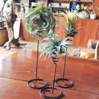 3Pcs Soporte De Planta De Metal En Forma De Piña Para Decoración De Balcón Y Hogar Estuche De Regalo Para Amantes De La Naturaleza - details 1