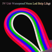 Tiras De Luces Neón Flexibles 5V USB Impermeables Para Exterior Decoración De Juego Sala De Estar Cocina Dormitorio Halloween Navidad LED Lámpara - details 0
