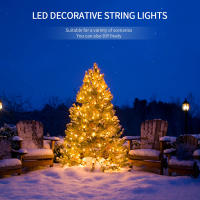 Luces De Navidad LED RGB Impermeables Para Exterior 30M 20M 50M 10M 100M Decoración De Jardín Calidad Superior Guirnalda De Navidad - details 0