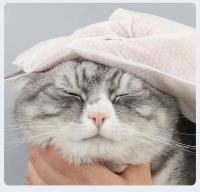 6pcs Guantes Desechables Para Mascotas Limpieza Profunda Desodorización Suave Sin Enjuague Especiales Para Gatos Y Perros Suministros De Peluquería - details 7