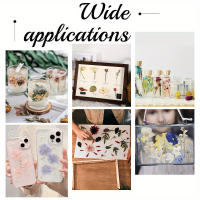 Kit De Preparación De Flores De Madera Para Preservar Specimenes Botánicos Hojas Y Flores Fácil Herramienta De Manualidades Para Amantes De La Naturaleza - details 5