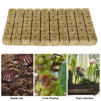 Cubes De Medio De Cultivo De Piedra Ponceada 100/50x Para Cultivo Hidroponico De Semillas Y Plantas Jardín Bloque De Semillero Cultivo Por Inmersión - details 1
