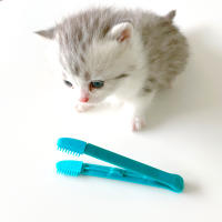 Herramientas De Limpieza Y Cuidado Para Mascotas Gato Cepillo Suave Para Ojos Eliminador De Manchas De Lágrimas Accesorios Para Gatos Suministros De Peluquería Para Mascotas - details 2