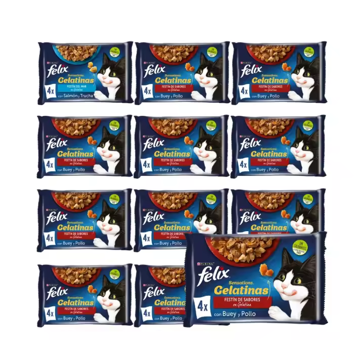 FELIX - Sensations Gelatina (48x85 gr) - Comida Húmeda Festín de Sabores (Buey y Pollo) (12x4x85 gr) - 1