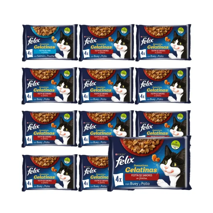 FELIX - Sensations Gelatina (48x85 gr) - Comida Húmeda Festín de Sabores (Buey y Pollo) (12x4x85 gr) - 1