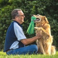 Juguete De Octopus Squeaky Para Perros Interactivo Sin Relleno De Peluche Juguete Masticable Con Papel Grueso Para Pequeños Y Medianos Perros Color Azul Verde Naranja Morado - details 3