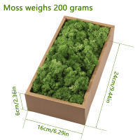 Decorativo De Moss Preservado Ligero Arte Artificial De Moss Verde Eterno Para Decoración De Paredes En Casa Y Fiestas - details 6