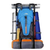 65l Large Camping Backpack Travel Bag Men's Women Luggage Hiking Shoulder Bags Outdoor Climbing Trekking Men Traveling Bag - details 0