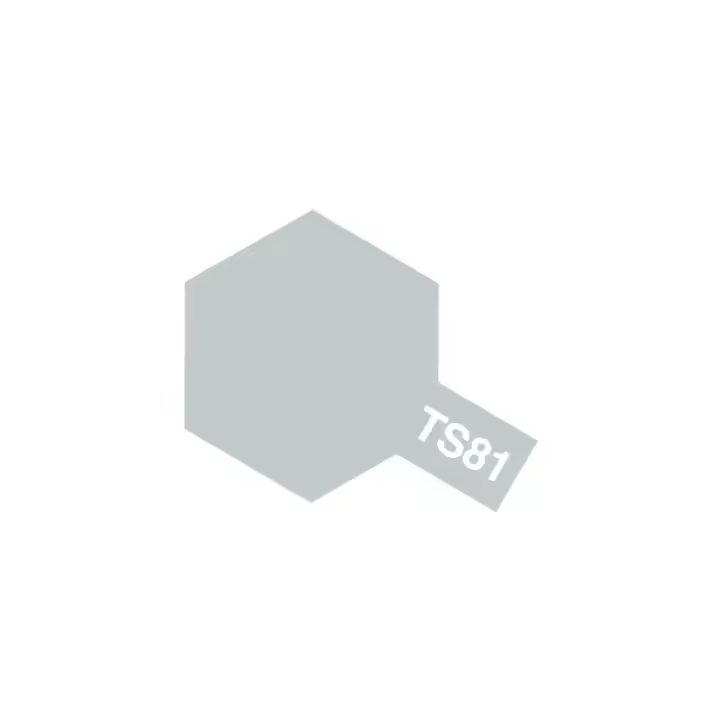 Pintura en Aerosol TS-81 British Navy Gray Matt | Secado Rápido - 1