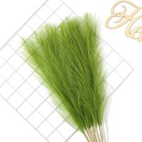 5/10Pcs Bouquet De Pampas Artificiales Flores De Reed Para Decoración De Hogar Jardín Boda Y Fiestas Internas Y Externas - details 10