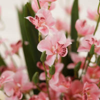 Orquídea Vainilla Y Freesia Artificiales Para Decoración De Hogar Boda Valentine's Day Fiesta Garden Vaso Decoración Estilo Floral Silken - details 7