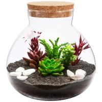 Kit Grande De Terrario En Botella Ecológico Micro Juego De Plantas Y Rios Para Decoración Del Hogar Y Cultivo De Plantas En Vaso De Vidrio Con Moss Y Tanque De Peces - details 2