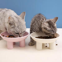 Contenedor De Alimentos Para Mascotas Estable Protector De Cuello Alto Resistente a Derrames Y Práctico Para Gatos Y Perros Plástico Duradero Con Placa De Agua - details 3
