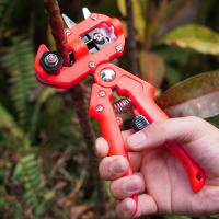 Juego De Tijeras De Enraizamiento Profesional Para Jardín Y Agricultura Corte De Frutas Arbolado Herramienta De Podar - details 3
