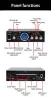 Amplificador De Sonido HiFi 200W + 200W Con Entrada Dual Para Microfono Para Karaoke Y Reproductor De Música Para Hogar Y Coche 220V/12V - details 10