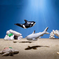 Miniatura De Ballena Delfín Y Tortuga Para Acuario DIY Juego De Escritorio De Paisaje Micro Mundo Submarino Animales Resina Decoración Para Hogar - details 3