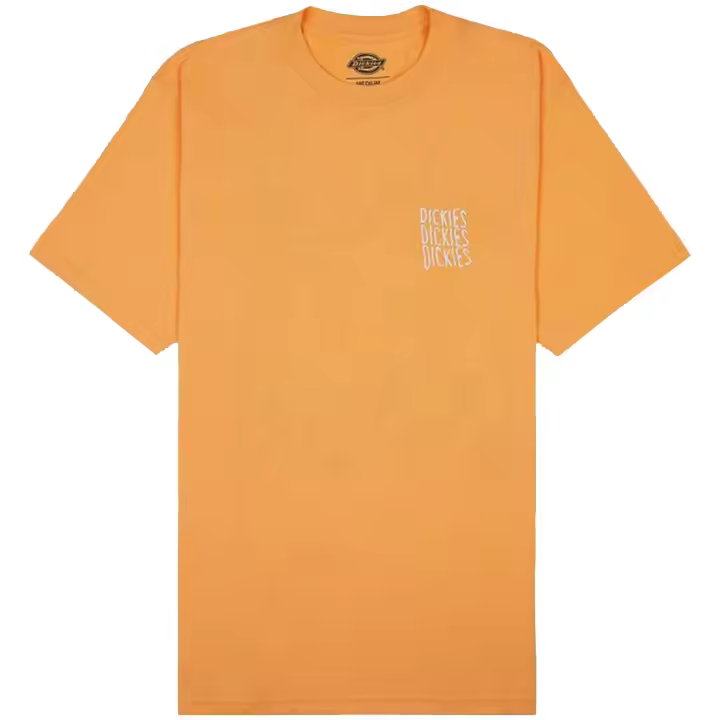 Camisetas marca Dickies modelo Dk0A4Y8We821 para hombre en color naranja - 1