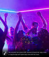 Tira De Luces LED Neón RGB Tuya Smart Life 12V Con Control Remoto Decoración De Hogar Alexa Google Home Luz Neon Sign Tape 5M 3M 2M 1M - details 4