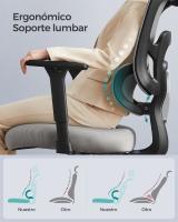 Silla Ergonómica de Oficina con Respaldo Alto de Malla - Soporte Lumbar Ajustable, Reposacabezas y Apoyabrazos 3D Ajustables, Ideal para Escritorio - details 3