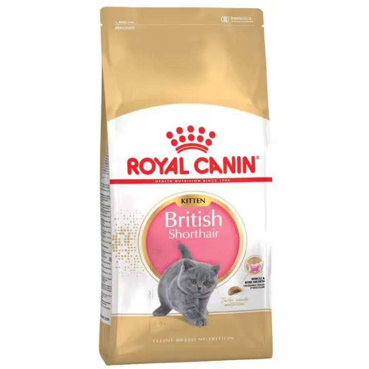 Royal Canin British Shorthair Kitten 2KG - 1
