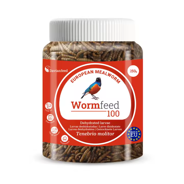 Wormfeed 100 - Gusano de Harina Superior 250 g - Larvas de Tenebrio molitor para Alimentación de Aves, Reptiles, Roedores y Peces - Fuente Rica en Proteínas y Ácidos Grasos Omega 3 y 6 - Calidad Europea - Davianfeed - 1
