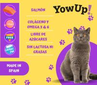 YOWUP! Yogur Natural Salmón Piel y Pelo Para Gatos 85gr Pack 10 Unds - details 2