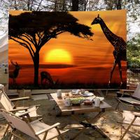 Bandeera Africana De Escena De Atardecer En Pradera Hecha De Poliéster Impresión Creativa Bandera Colgante Para Decoración Interior Y Exterior - details 11