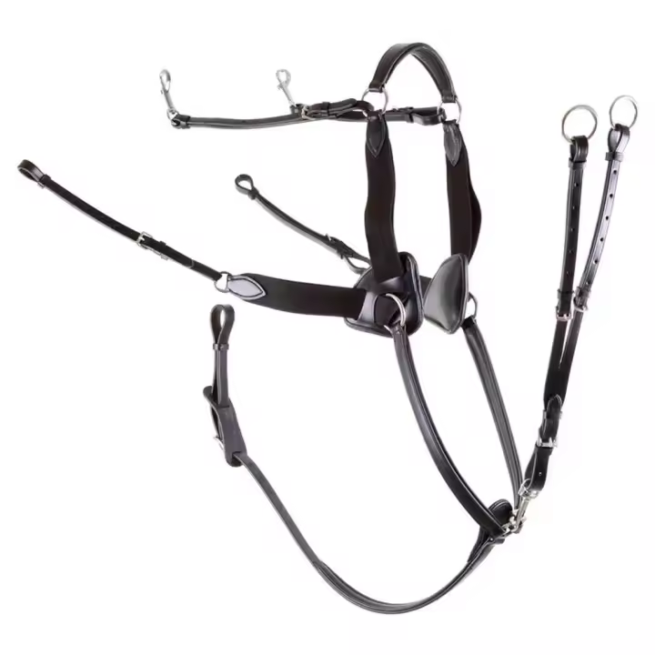 Equipamiento caballo Bridas Premiere Pechopetral 5 Elastic Points Negro - 1