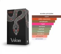 Vulcan Black Friday de French Avenue Extrait de Parfum 100 ml | Fragancia Cuero Oriental | Notas de Azafrán, Manzana y Canela | Aroma Intenso y Duradero - details 5