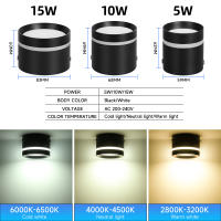 Lámpara De Techo LED Mini Pequeña 220V Luz Directa Montaje En Superficie Para Sala De Estar Dormitorio Color Negro - details 3