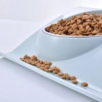 Cuenco de agua de acero inoxidable, comedero, solución, suministros para perros y gatos, cuenco doble, mesa de alimentación para perros y gatos - details 7