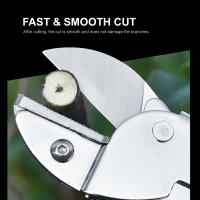 Tijeras De Poda De Jardín SK5 Acero Con Mango Ergonómico Para Frutas Y Árboles Herramienta De Horticultura Podadoras Bypass Metálicas Antideslizantes - details 4