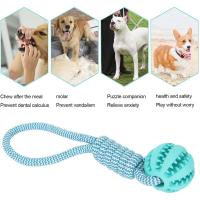 Bola De Juguete Para Perros Con Correa Resistente Masticadora Y Limpieza De Dientes Juguete Interactivo Anti-Boredom Para Muelas - details 14