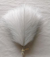 10PCS Faus Pampas Hierba Beige Para Decoración De Hogar Y Bodas Flores Artificiales Silken Small Para Vaso Estilo Bohemio - details 12