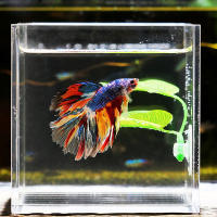 Planta Artificial Para Acuario Hojas Decorativas Para Descanso Y Reproducción De Betta Decoración De Juguete Para Peces Tamaño Único - details 2