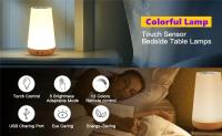 Lámpara Nocturna Recargable RGB Con Control Táctil Y Remote 13 Colores Luz De Mesa Para Decoración De Habitaciones Y Camping Dimmable - details 0