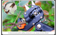 Herramienta De Poda Para Jardín DTBD Con Tijeras De Enraizamiento Para Frutas Y Árboles Herramienta De Corte Y Cinta Antideslizante Metálica Para Agricultura - details 13