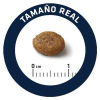 Advance Sensitive Puppy, Pienso para Perros Puppy de todos los tamaños con Sensibilidades Digestivas con Salmón, 12kg - details 1