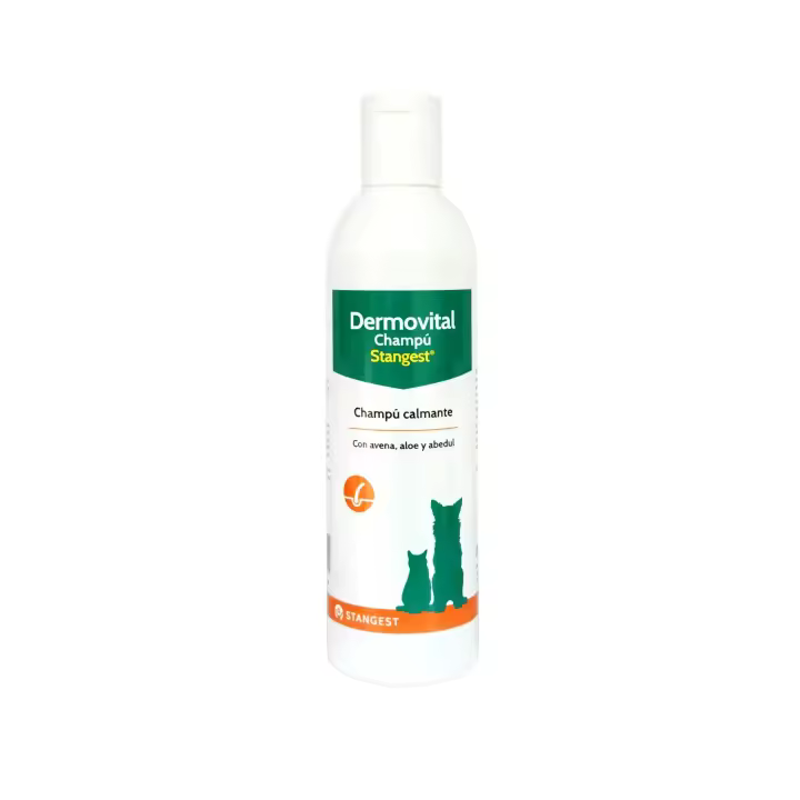 dermovital champu 250ml - 1