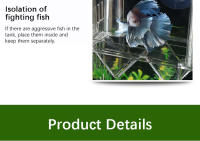 Nueva Incubadora De Peces Paon Azul En Acrílico Caja De Cría Acrílica Para Acuarios Tropicales Separador De Betta Tank Spawner Alec - details 5