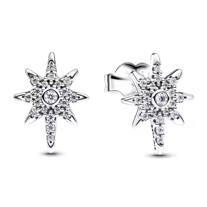 Pandora 293587C01 Pendientes de Estrella del Norte Plata de ley 2.1*11.9*9 mm - 1