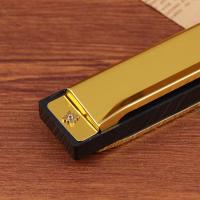 Harmonica De Metal Para Principiantes Y Niños Regalo Con Estuche Diatónica De 10 Agujeros En Do Clave C - details 6