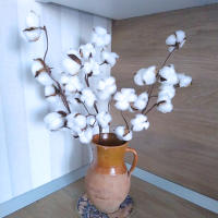 Rama De Flores Secas Blancas Artificial Para Decoración De Bodas Y Fiestas Eucalipto Y Algodón Decoración De Hogar Sin Químicos - details 5