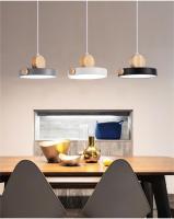 Lámpara Colgante Moderna LED Para Decoración De Hogar Y Sala De Estar Tres Tonos Iluminación Incluida Metal 220V Dimmer - details 3